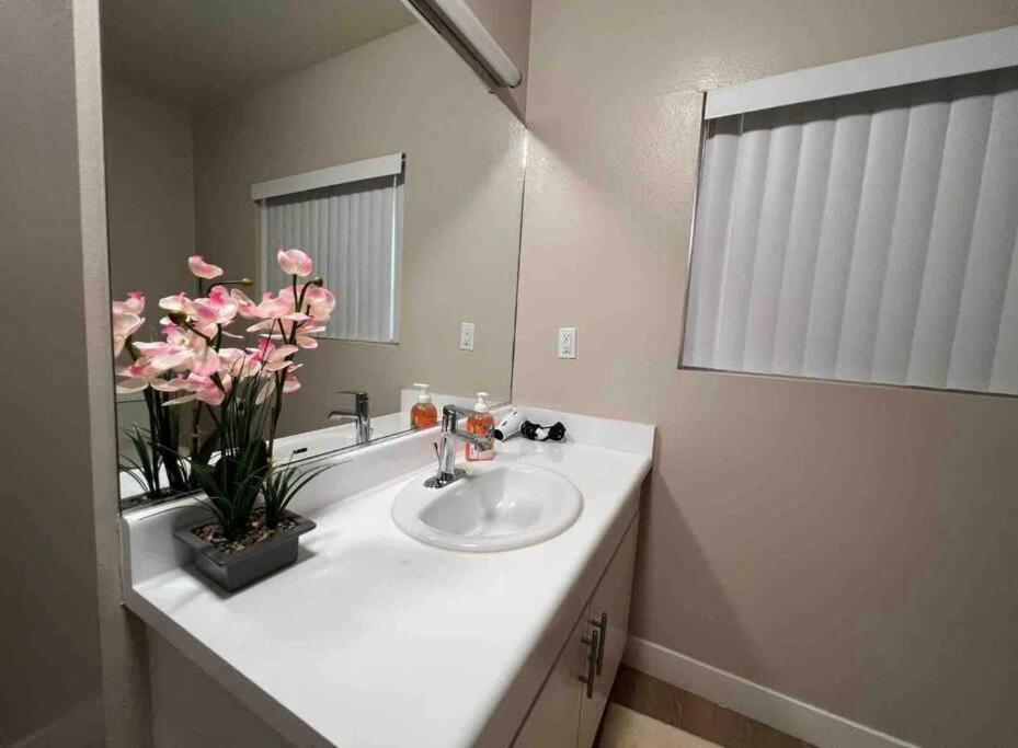 Castle 1 Bd Pool, Parking, Mdr